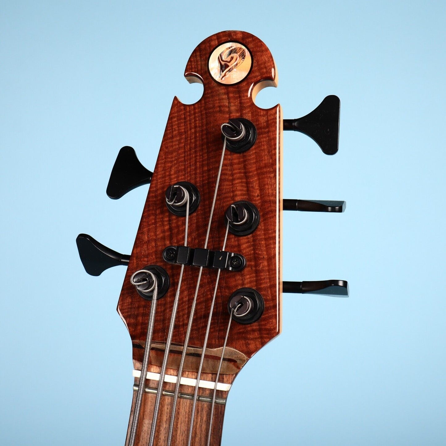Skjold Exotic Custom Curly Walnut 5 String Bass Guitar