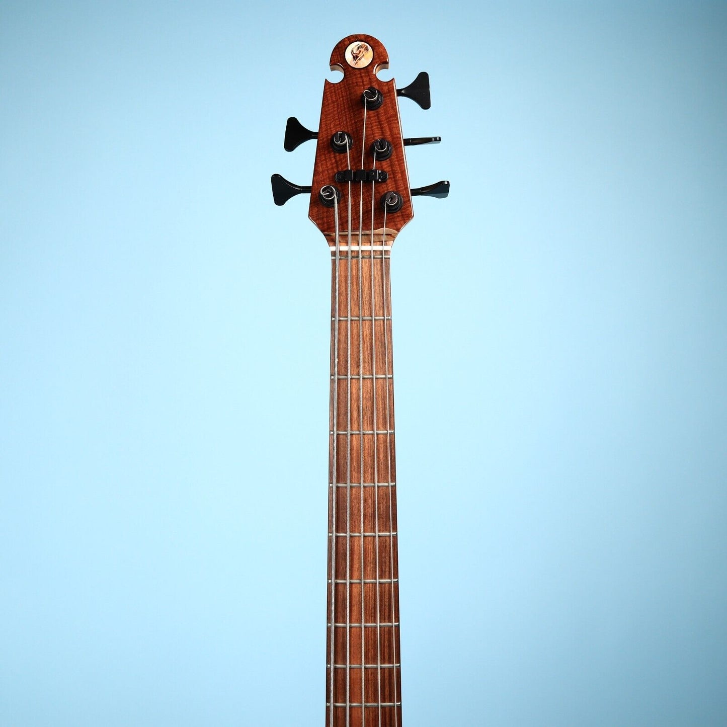 Skjold Exotic Custom Curly Walnut 5 String Bass Guitar