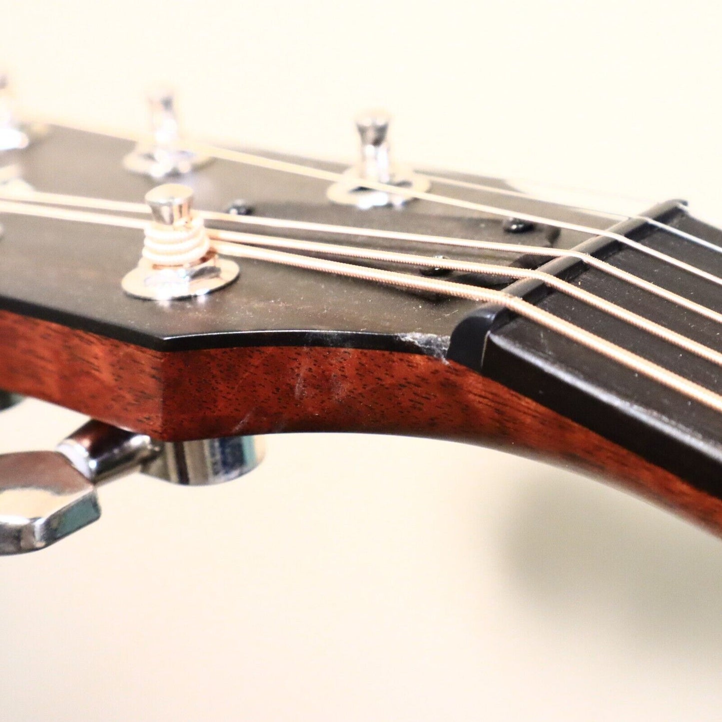 2019 Taylor Acoustic Builder's Edition 517e Guitar