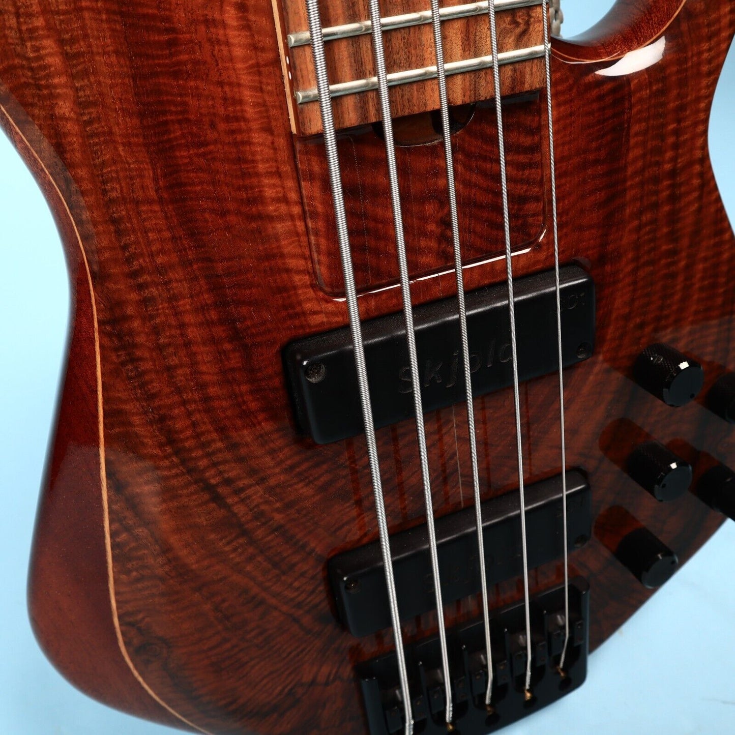 Skjold Exotic Custom Curly Walnut 5 String Bass Guitar