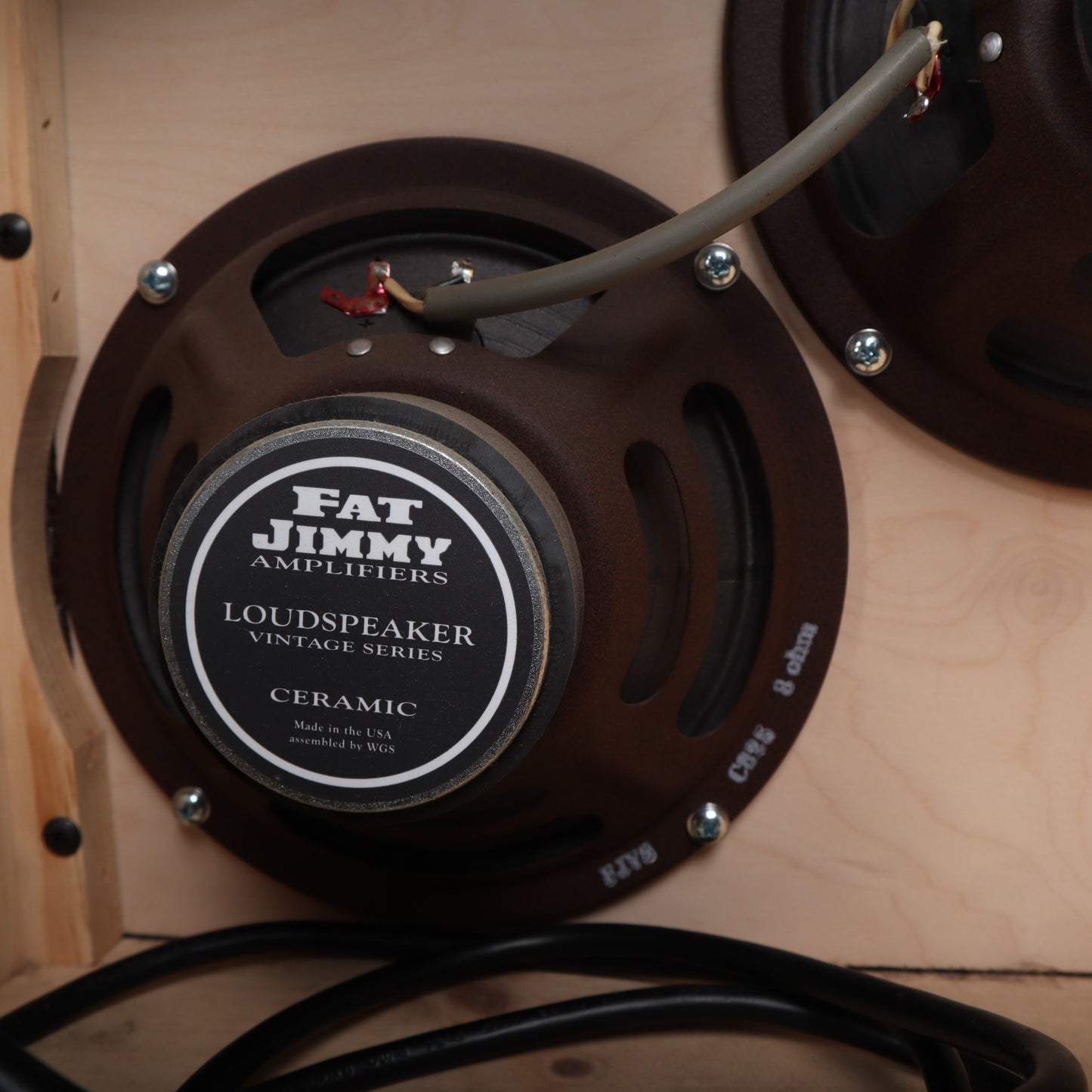 2023 Fat Jimmy Blue Mountain "Bob Weir" XIV 2x8 Tube Combo Amp