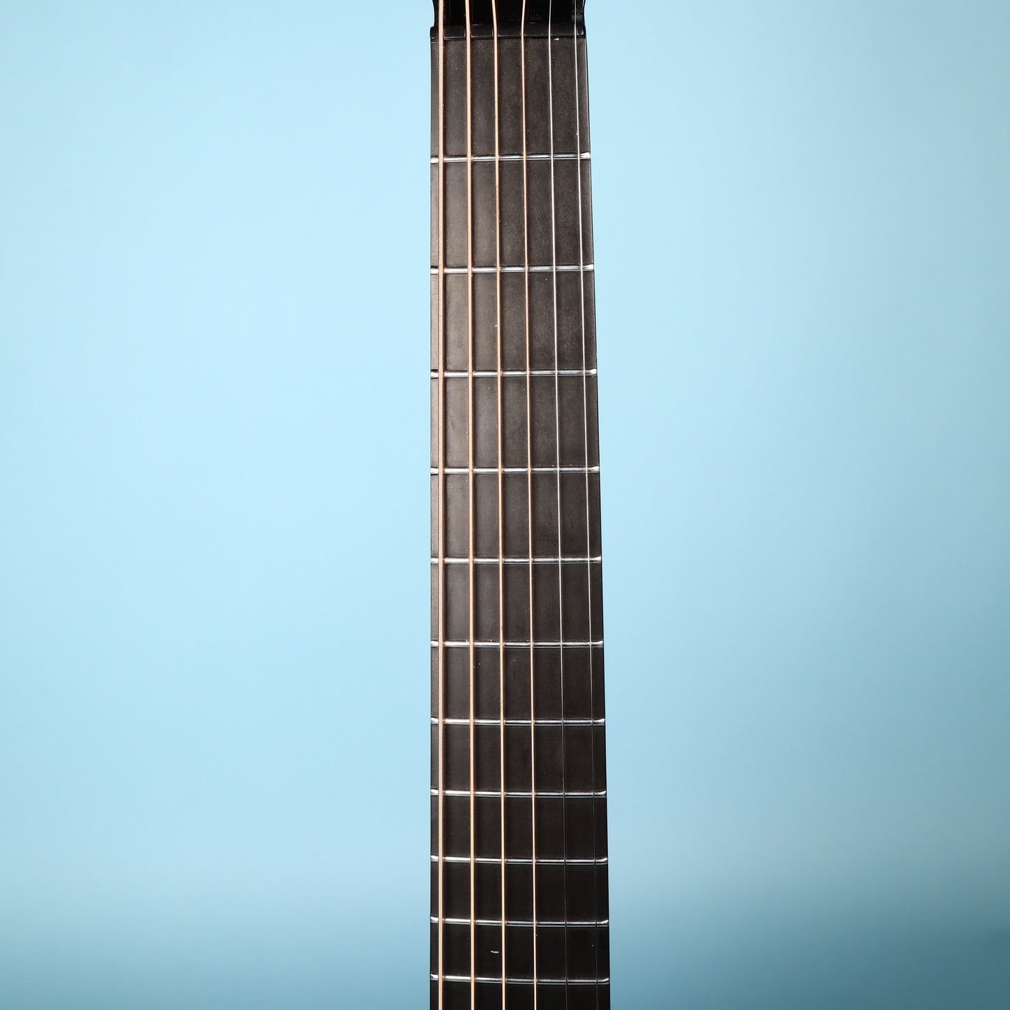 Composite Acoustics The Cargo Carbon Fiber Acoustic Guitar