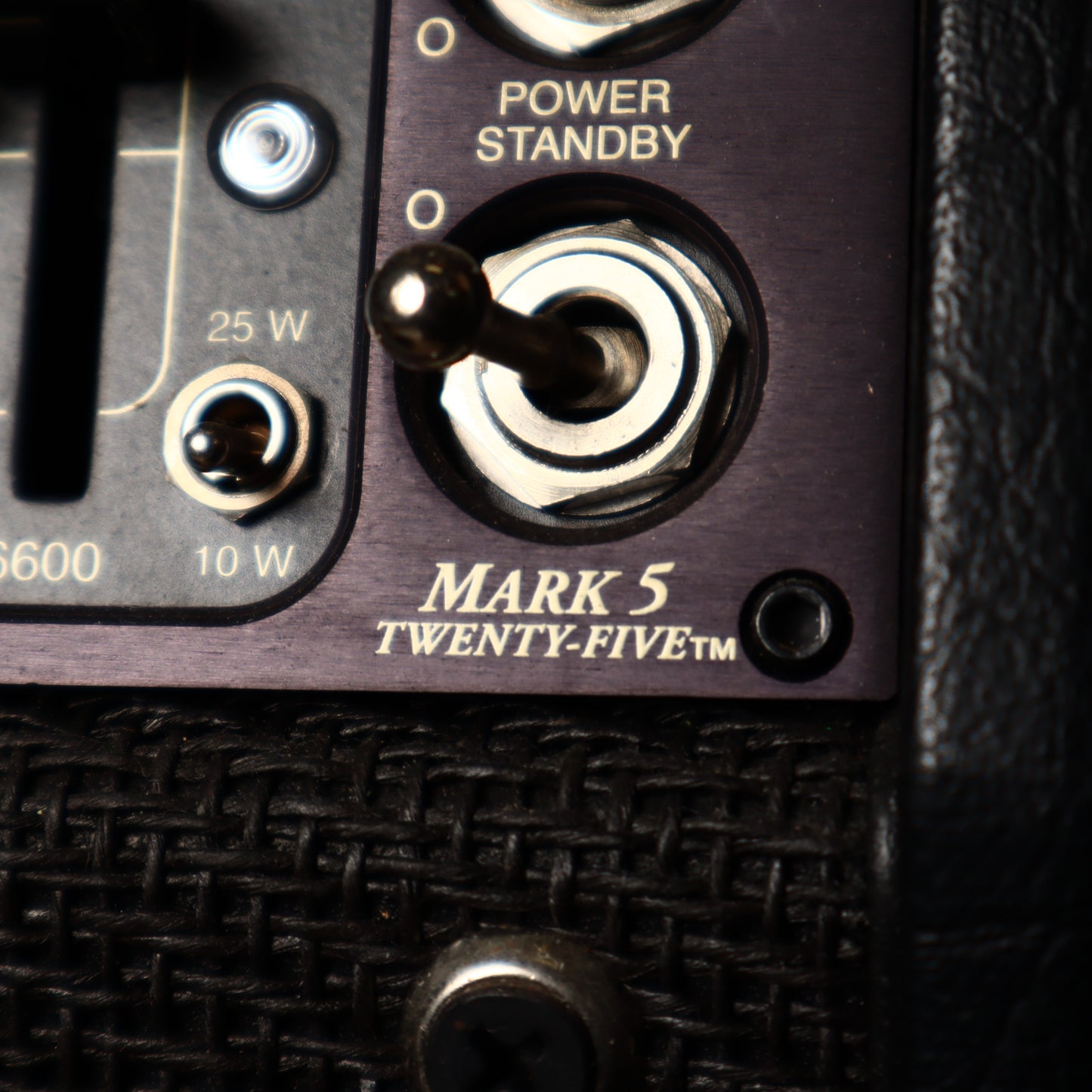 Mesa Boogie Mark 5: Twenty-Five, 2-Channel 25-Watt Tube Guitar Amp Head