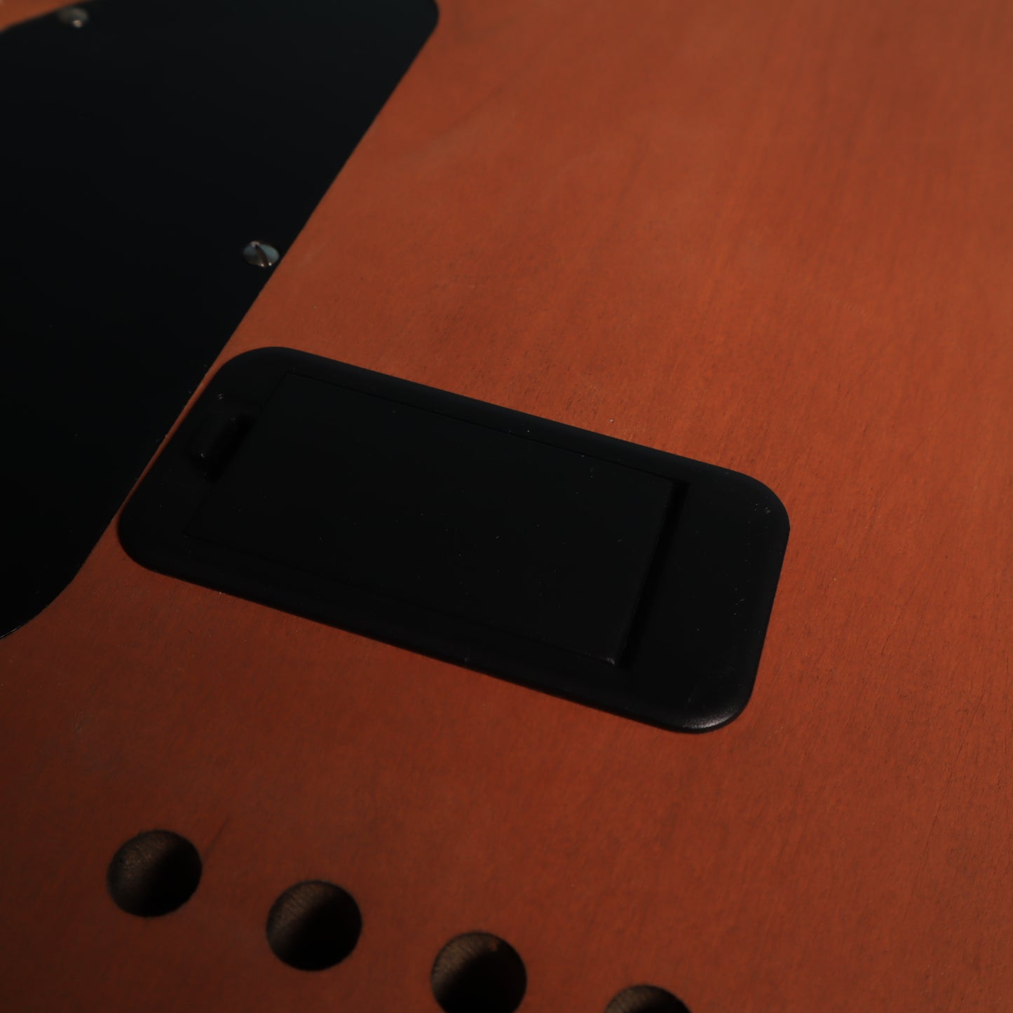 Carvin BK5A Bass Body 5 String Active