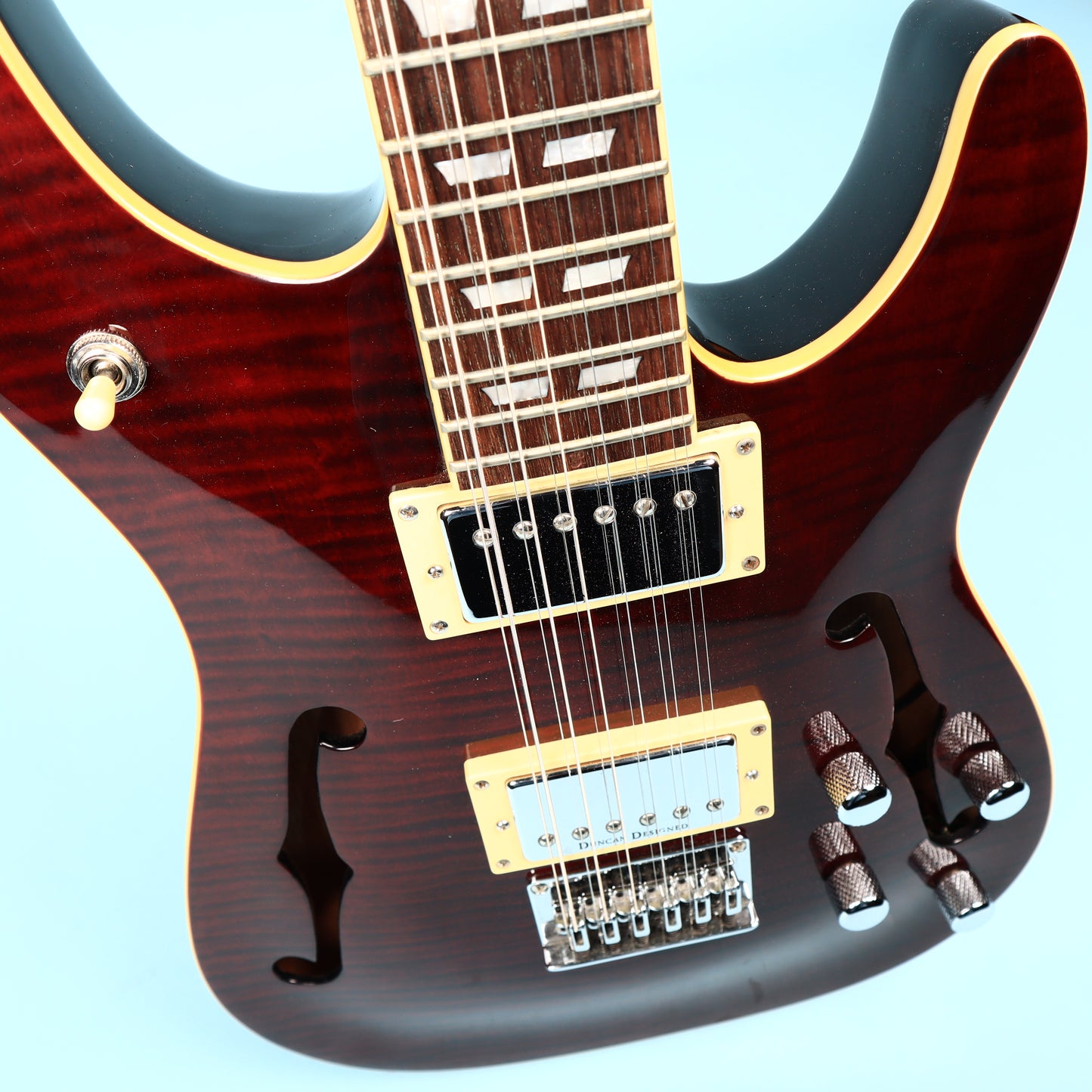 2005 Schecter CSH-12 12-String Semi-Hollow Guitar Crimson Red