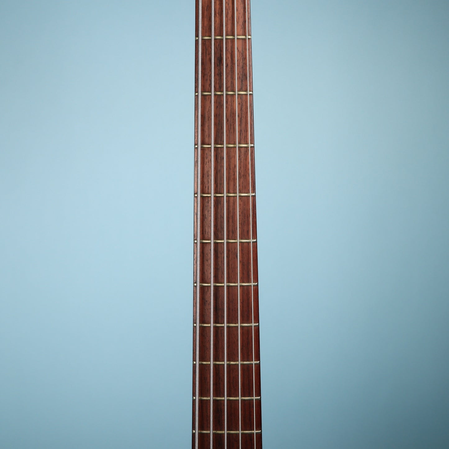 Tobias USA 5-String Bass Neck Through Guitar Zebrawood