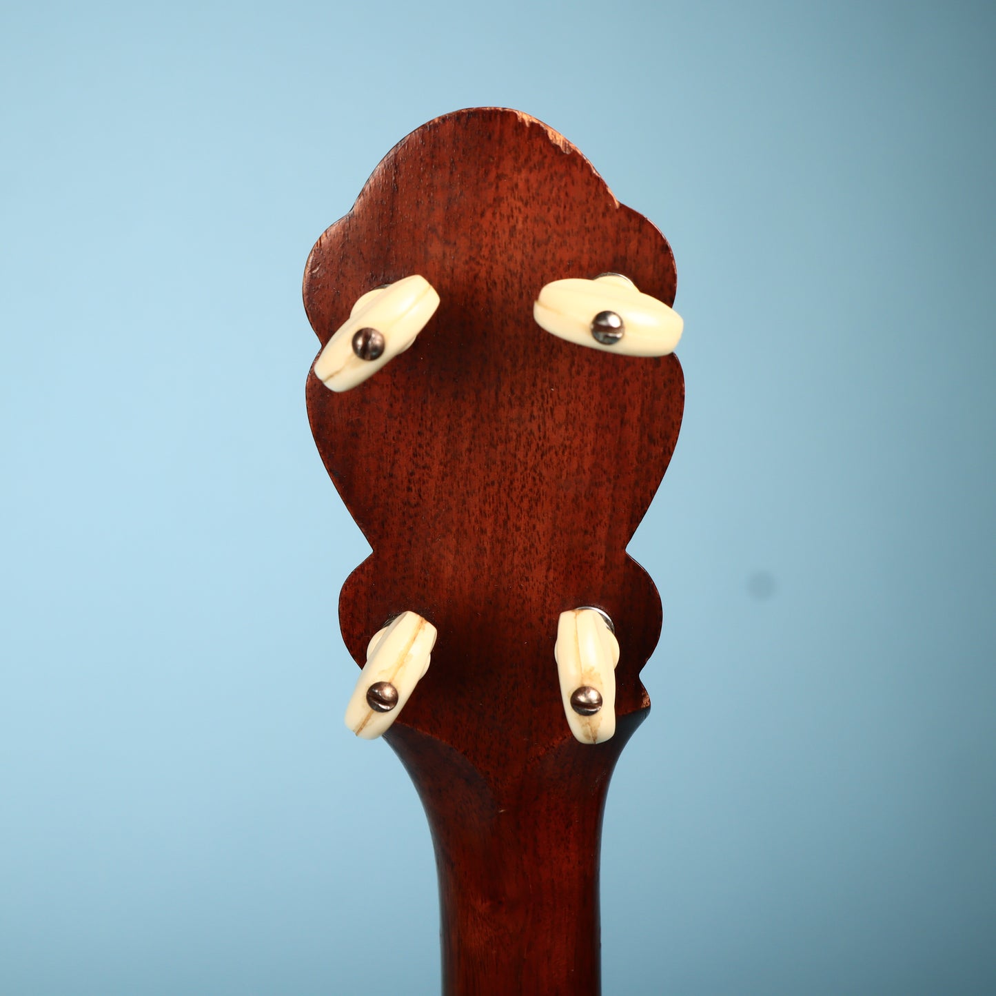 Henry C Dobson 8500 (1898) Wood/Metal Banjo (Antique) 5 String