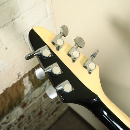 1980's Fernandes Michael Schenker Flying V Made In Japan Vintage 80's FV-85MS
