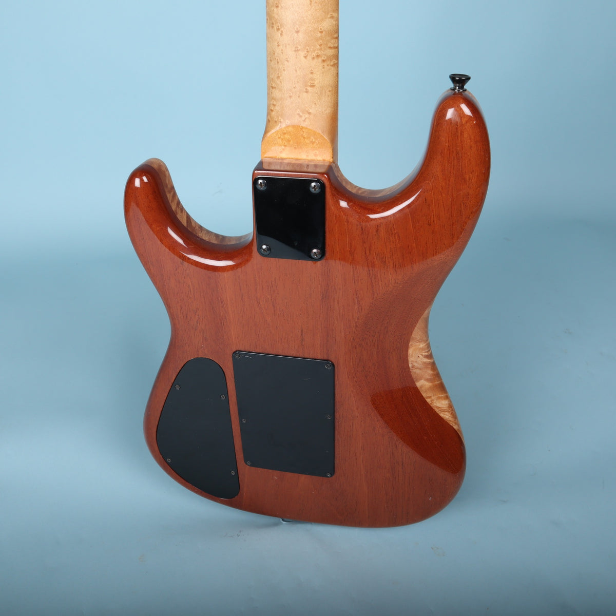 Close-up of four-bolt neck plate on back of guitar body.