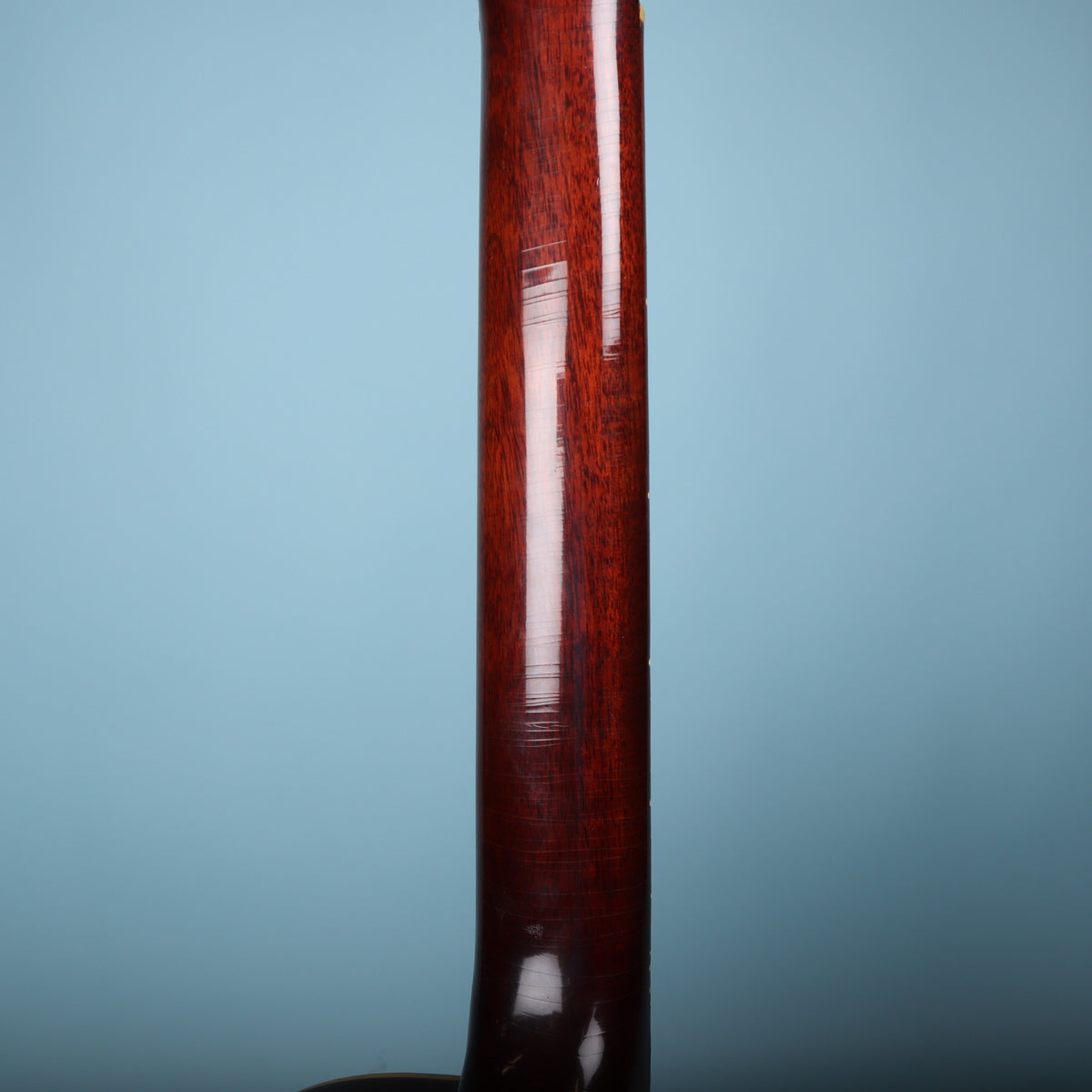 Back of the mahogany neck showing the glossy finish.