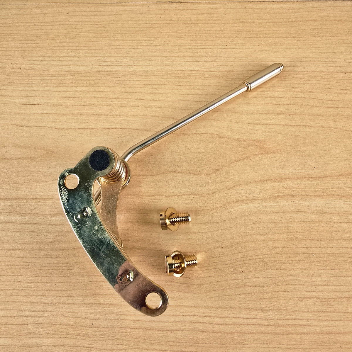 Underside view of Duesenberg Les Trem II baseplate with protective pad and two gold mounting bolts