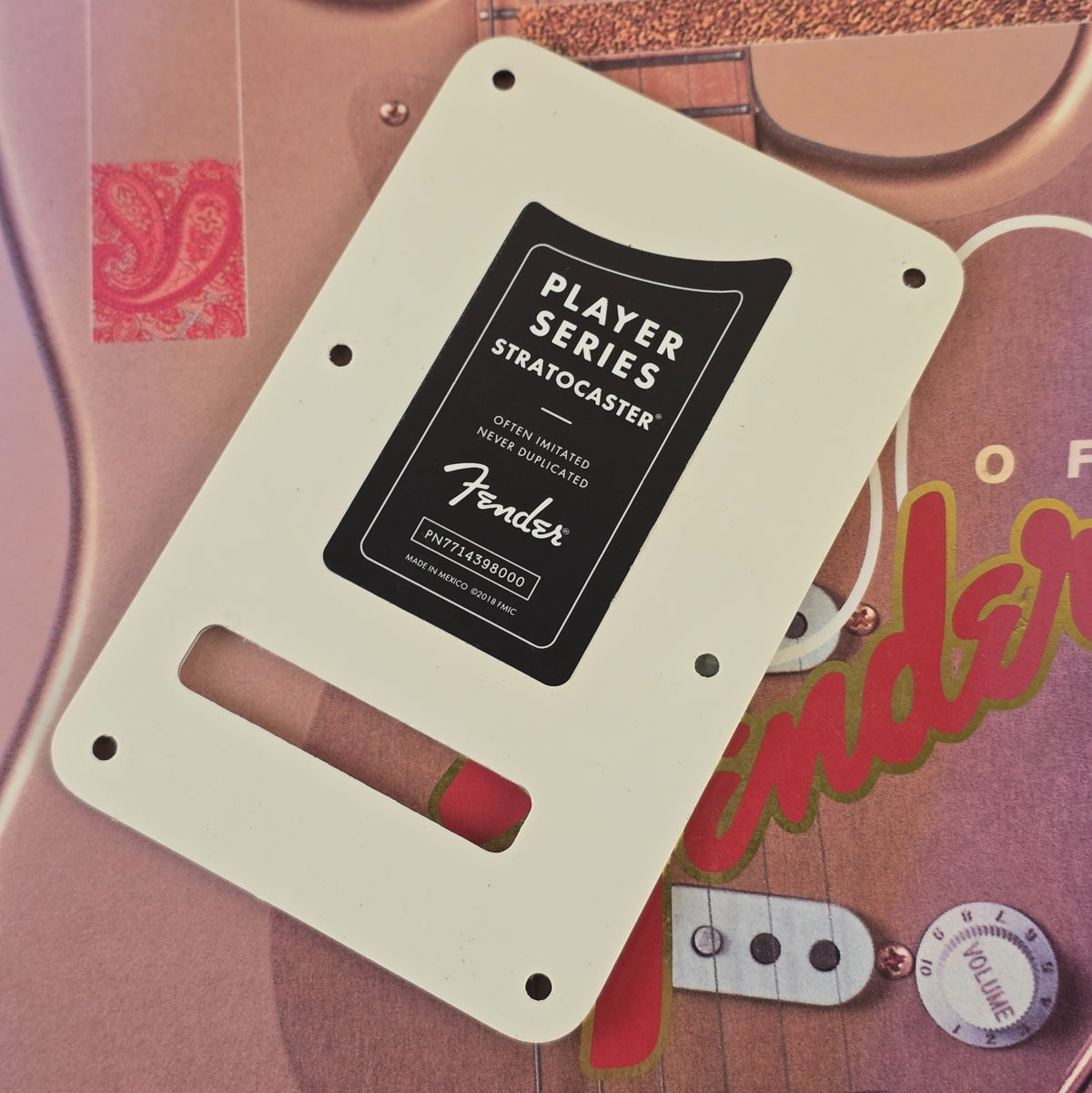 Fender Player Series Stratocaster backplate packaging label