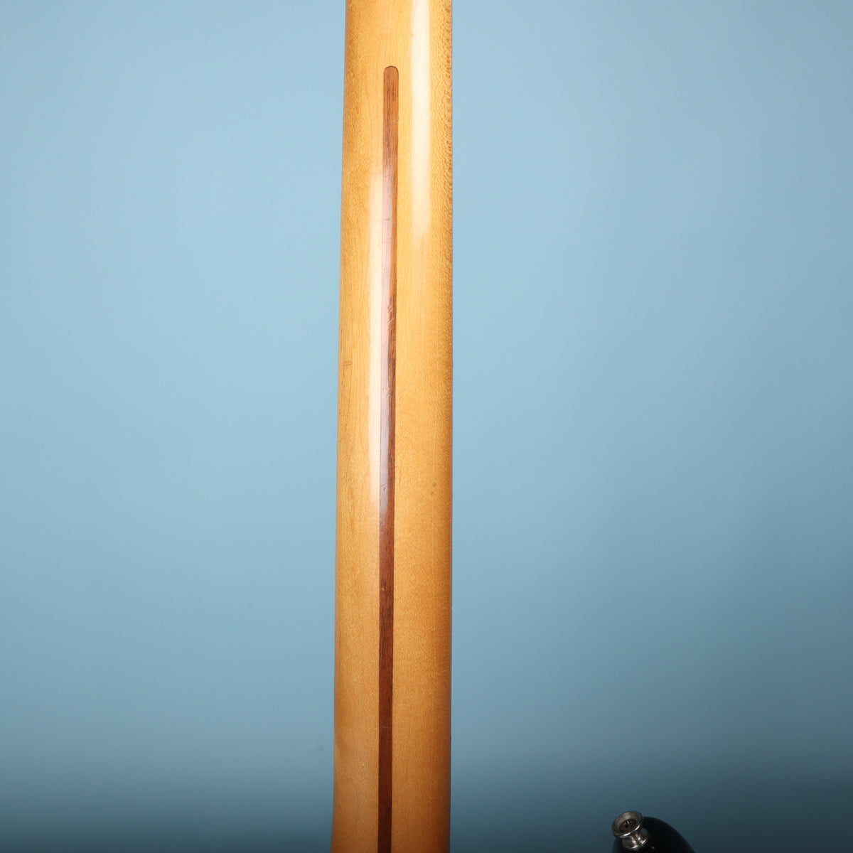 Rear view of maple neck shaft with walnut stripe on blue background.
