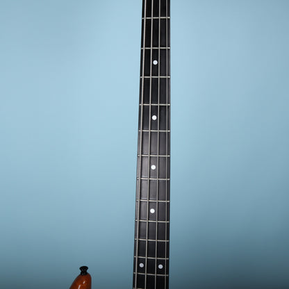 Front view of the ebony fingerboard with frets and white dot markers.