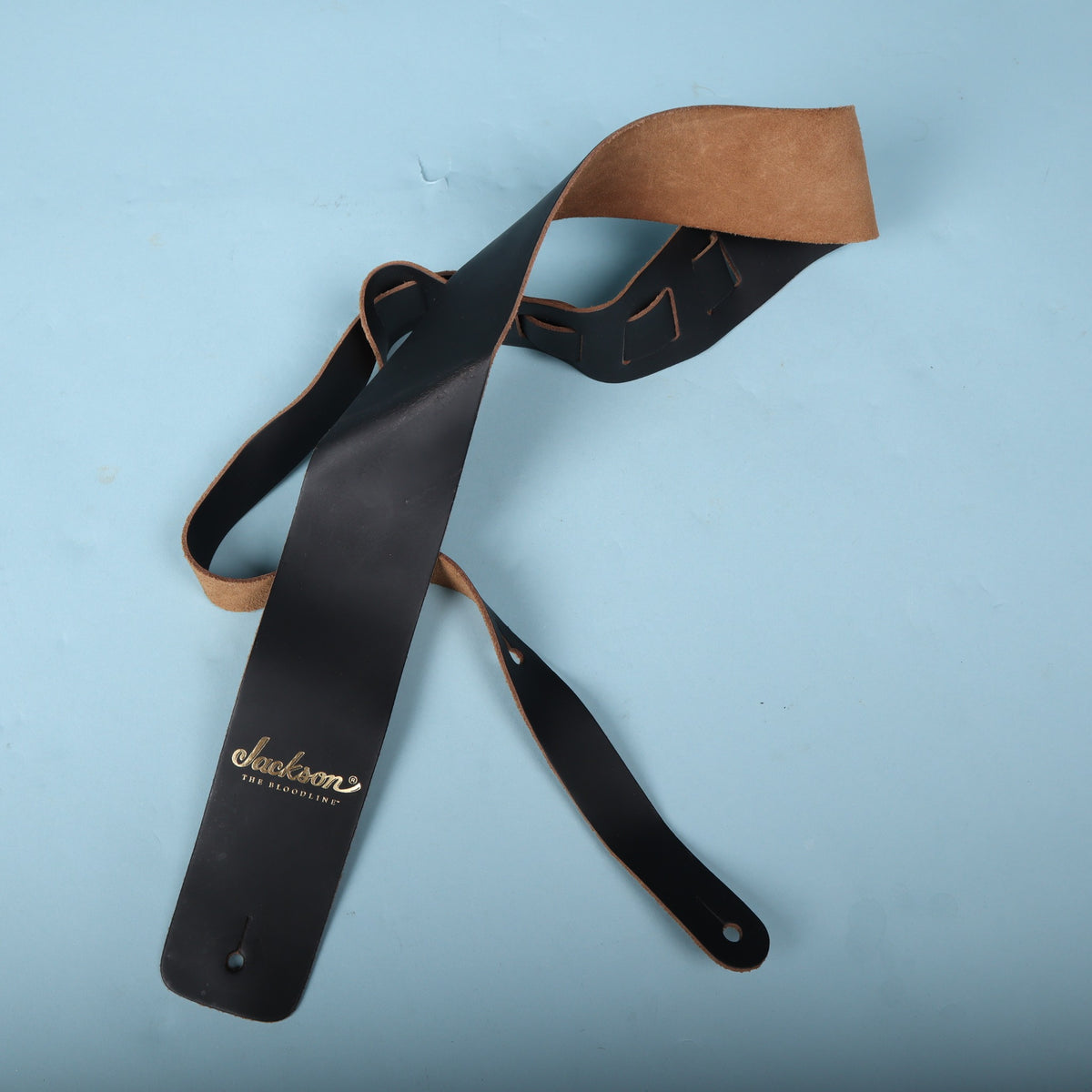Jackson The Bloodline black leather strap coiled against a light blue backdrop