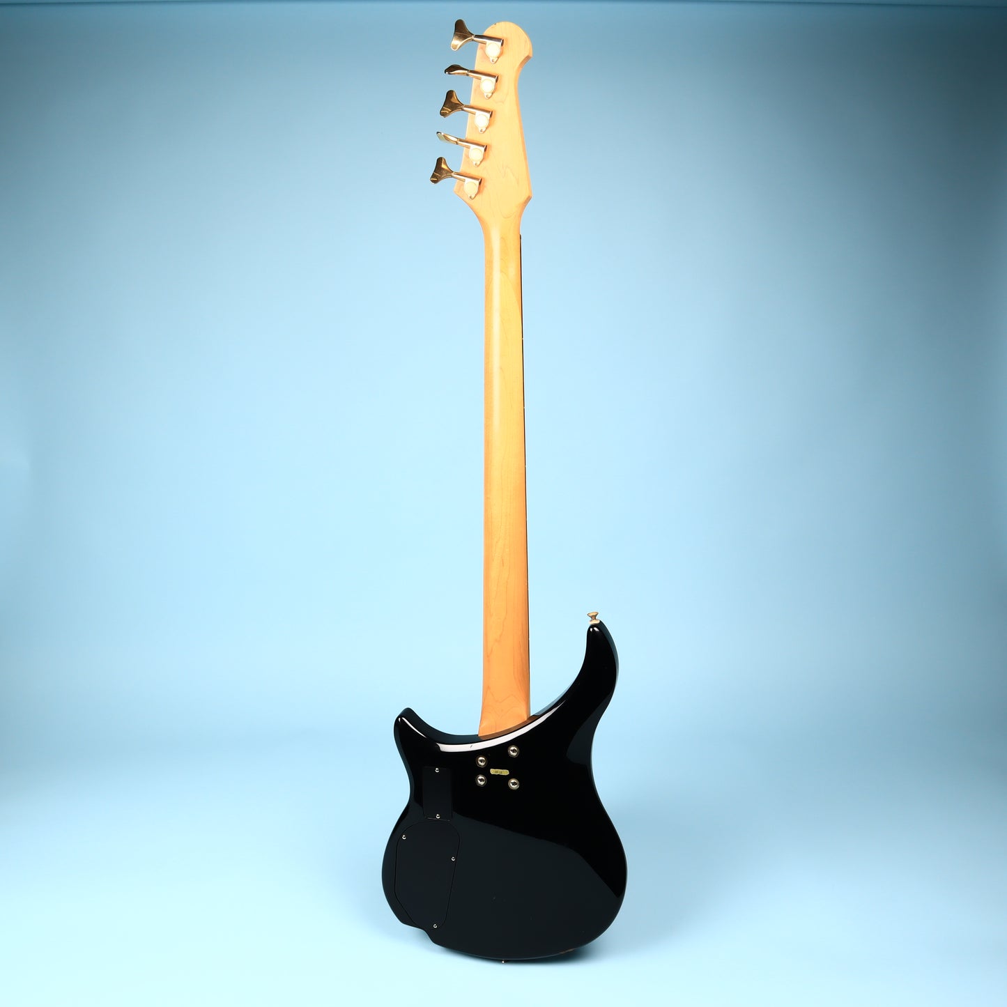 Epiphone 5-String Bass Guitar Black EBM-5 Black