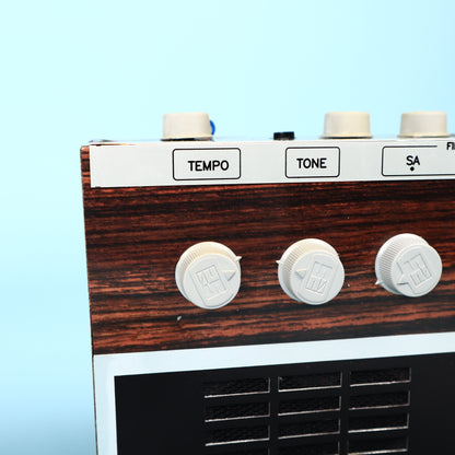 RADEL SAARANG DELUXE Analog Indian Drone Synth Shruti Box DX SOFT Vintage, Rare