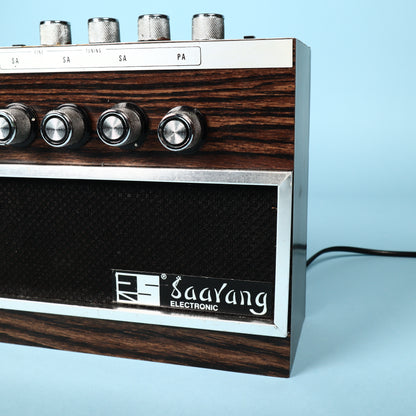 RADEL SAARANG DELUXE Analog Indian Drone Synth Shruti Box Vintage, Rare