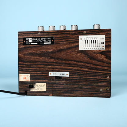 RADEL SAARANG DELUXE Analog Indian Drone Synth Shruti Box Vintage, Rare
