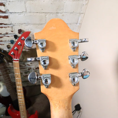 Ernie Ball Earthwood Vintage Acoustic 6 String Guitar