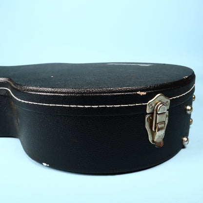 Ibanez Hardshell Case Artcore AFS75T