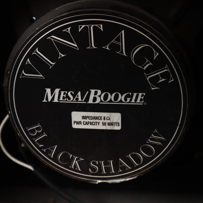 Vintage Mesa Boogie Subway Blues Guitar