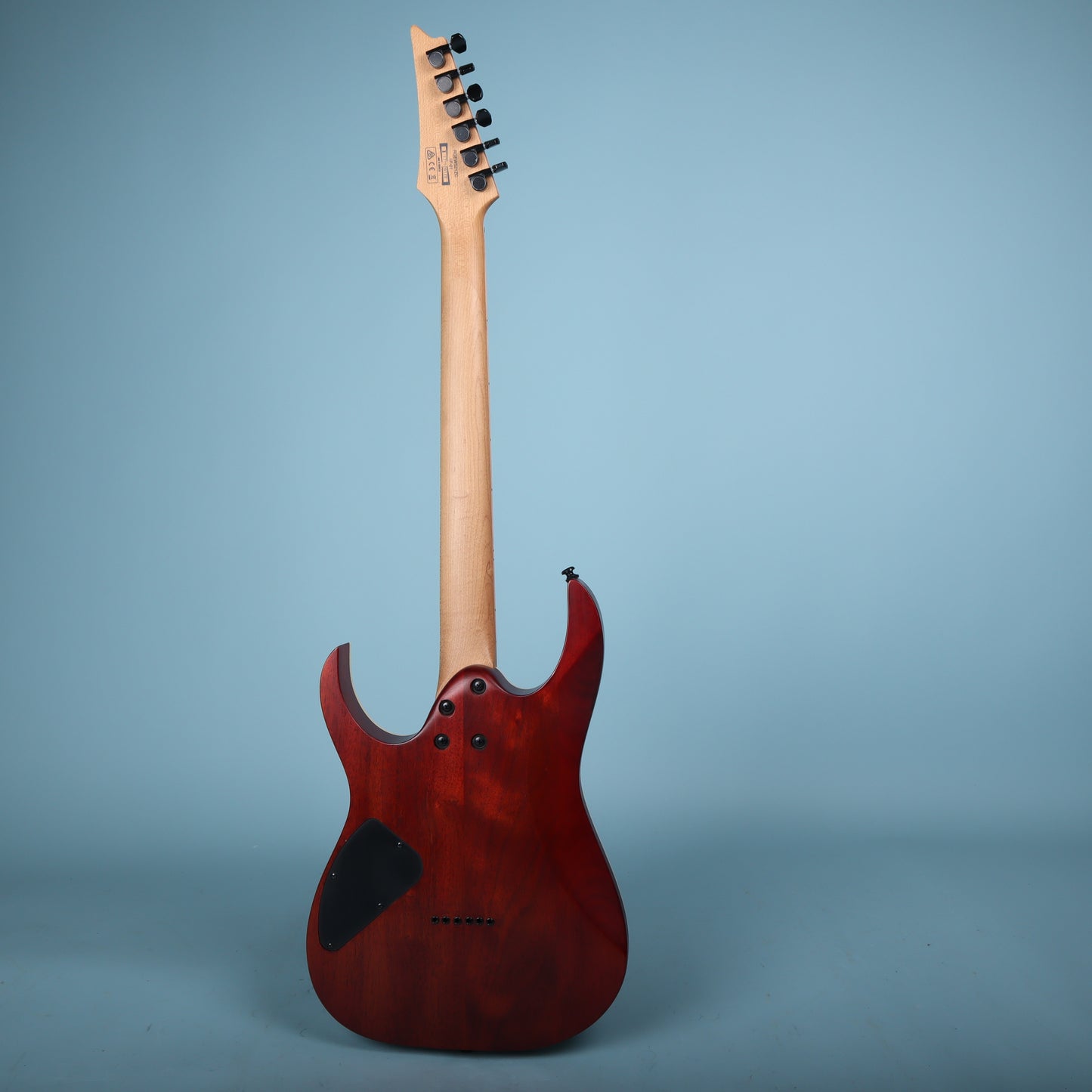 2017 Ibanez RGEW521ZC Exotic Flat Guitar