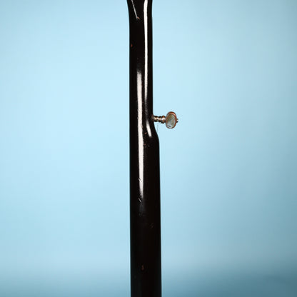 1965 Harmony Vintage "Chicago" 5-String Banjo