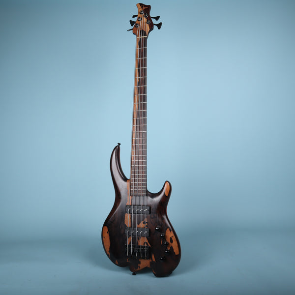 Wyn 5 String Bass Randall Wyn Fullmer Guitar