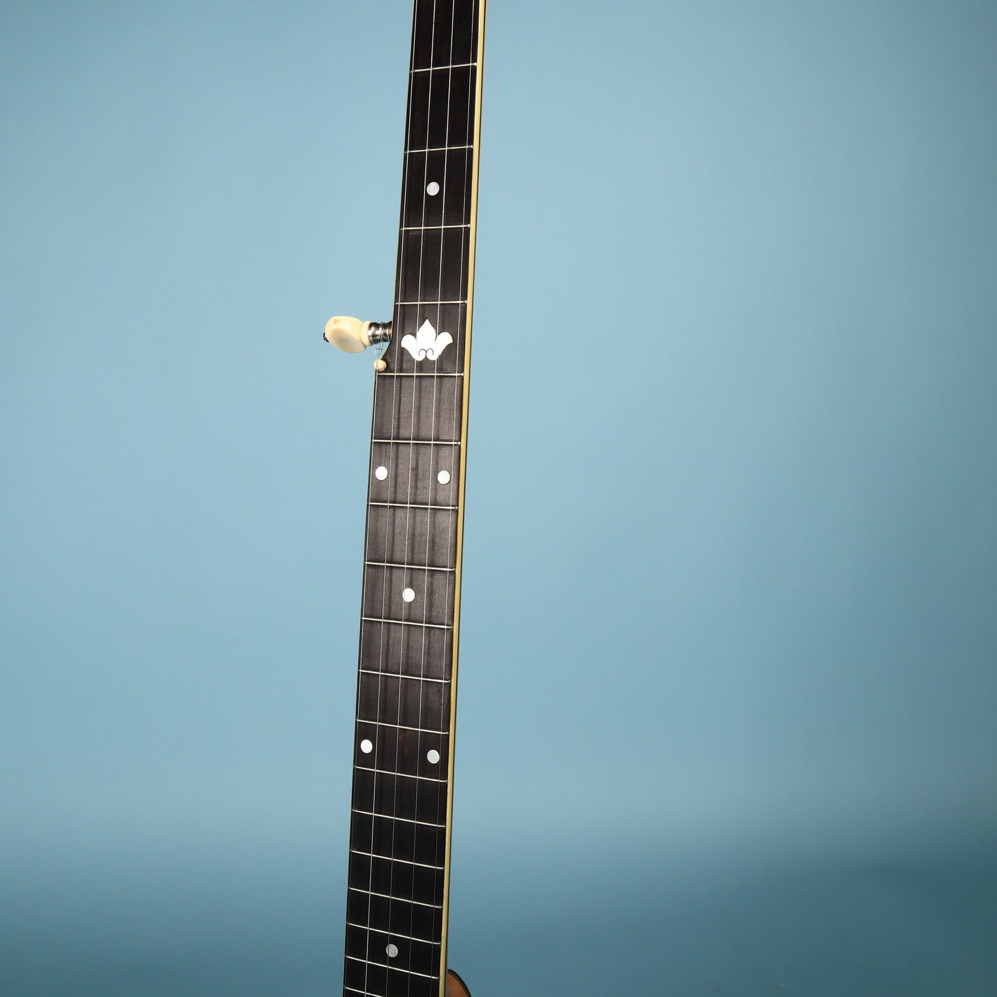 Vega Fairbanks Regent 5-String Openback Banjo, 1913