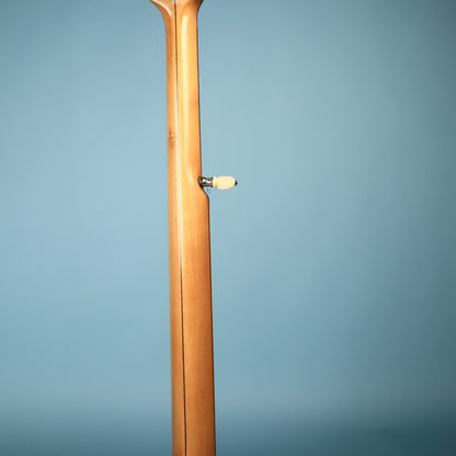 Vega Fairbanks Regent 5-String Openback Banjo, 1913