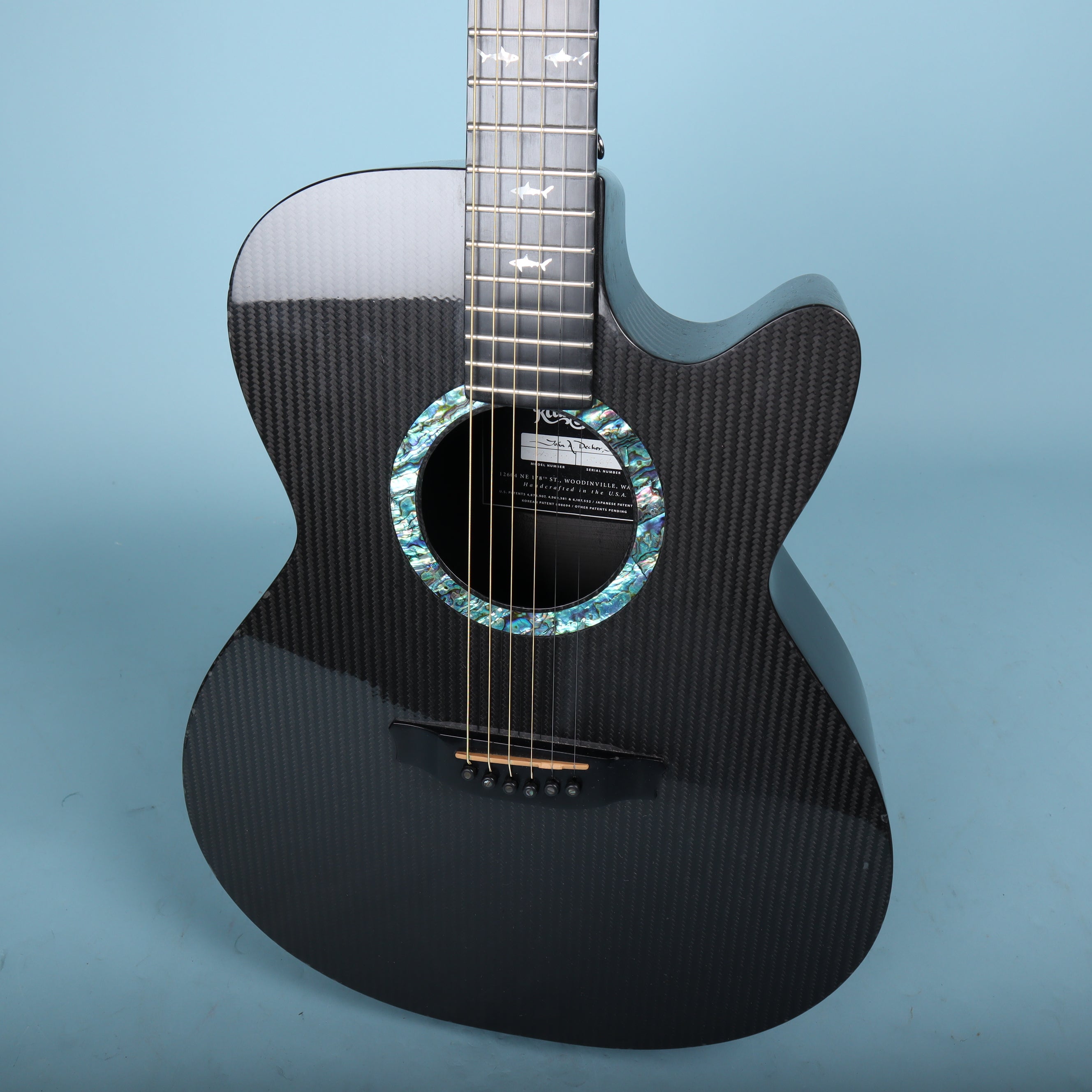 RainSong WS1000 N1 初期型 LR Baggs カーボンギター RainSong WS1000 – Acoustic Guitar