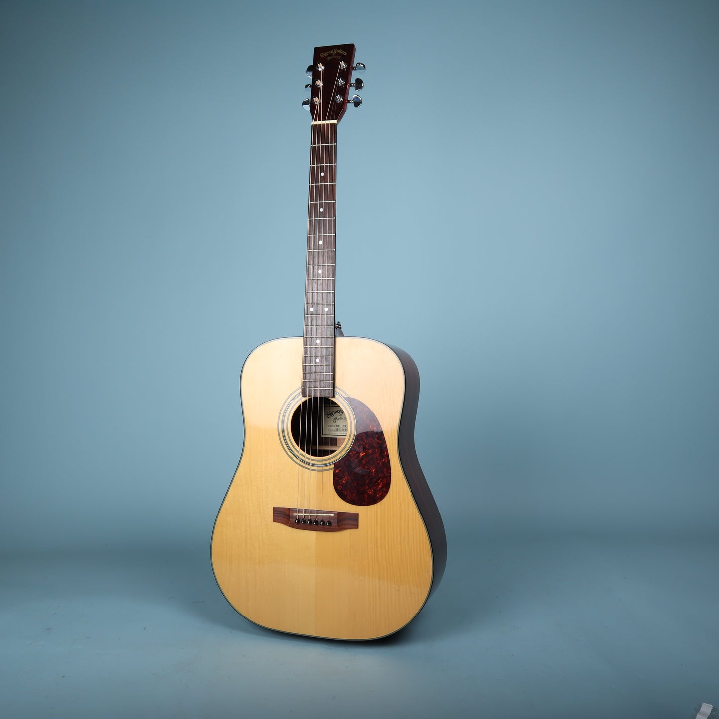 Sigma by Martin & Co DR-1ST Acoustic Guitar