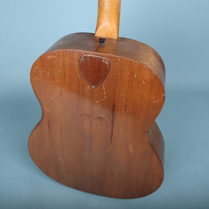 Ernie Ball Earthwood Vintage Acoustic 6 String Guitar