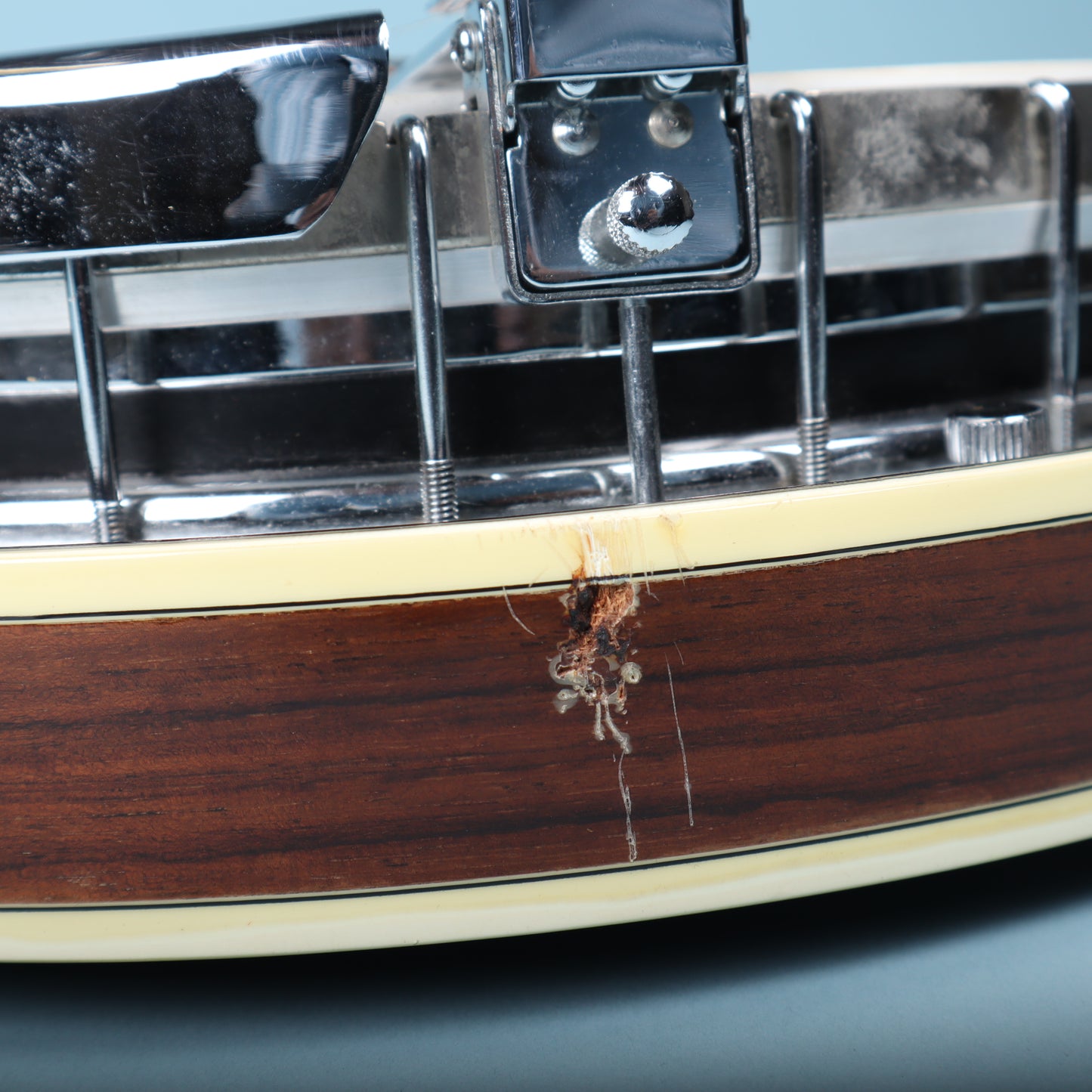 Alvarez Bow Tie Seahorse Deluxe 1970s Banjo - Maple