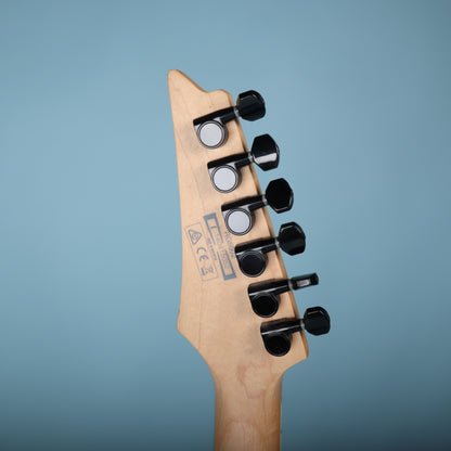 2014 Ibanez RG6002 RG Series Electric Guitar Center Exclusive