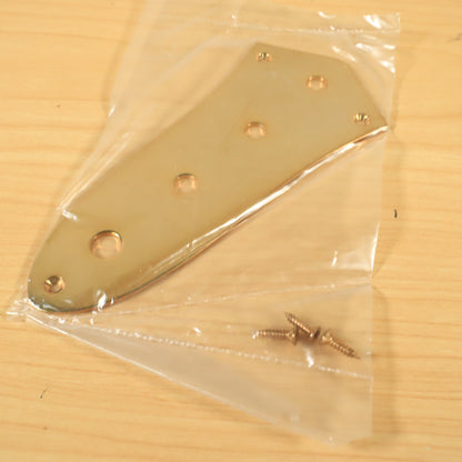 GOLD 4-Hole Jazz/J-Bass Control Plate Cover w/ Mounting Screws
