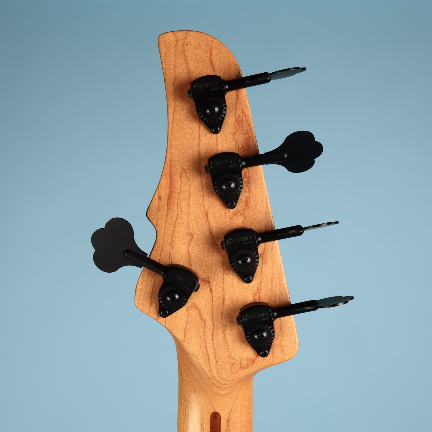 Nordstrand Audio Nordy 5 String Bass Guitar - Blue