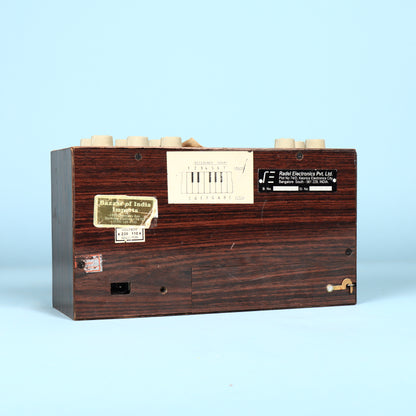 Vintage Rare 1970s Radel DX Mini Saarang Electonic Tambura Synthesizer