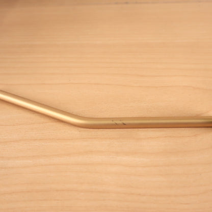 Satin Gold Floyd Rose Arm Bridge Whammy Bar