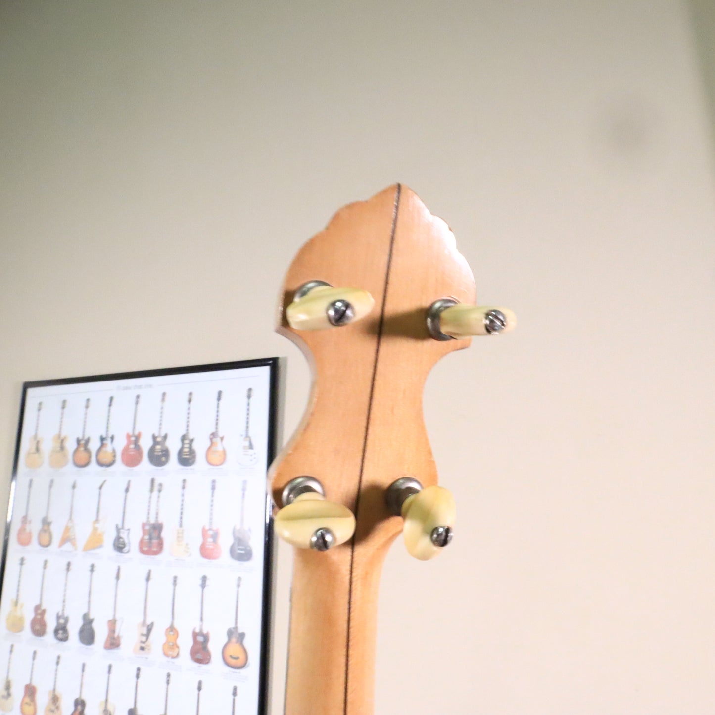 Vega Fairbanks Regent 5-String Openback Banjo, 1913