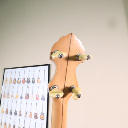 Vega Fairbanks Regent 5-String Openback Banjo, 1913