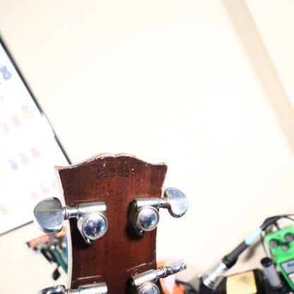 1964 Gibson RB-175 Long Neck 5-String Banjo