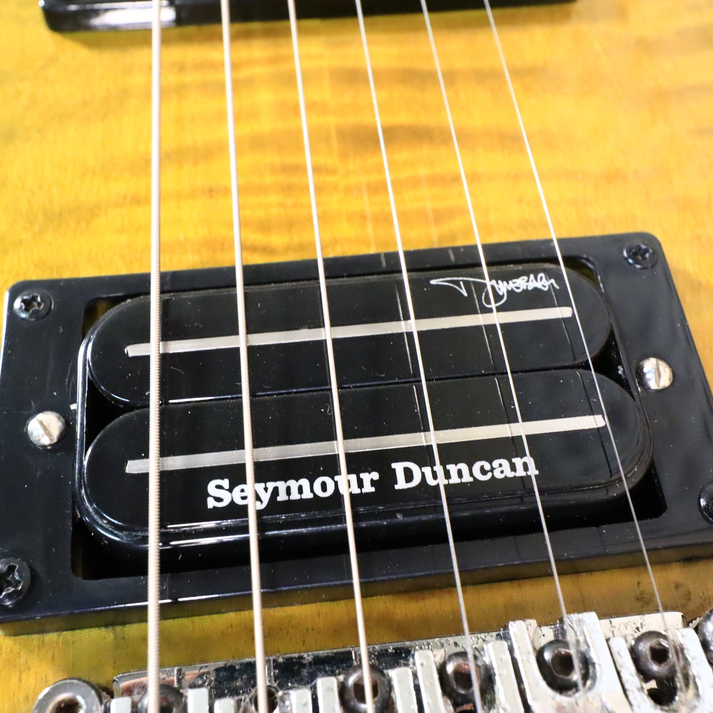 Washburn Custom Dime 333 Dime Slime Electric Guitar