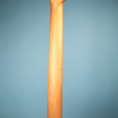 Mike Lull M5V Jazz Electric Bass 5 String Lake Placid Blue