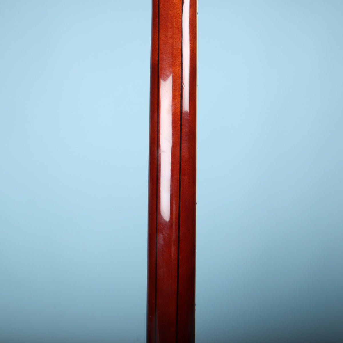 Rear view of guitar neck