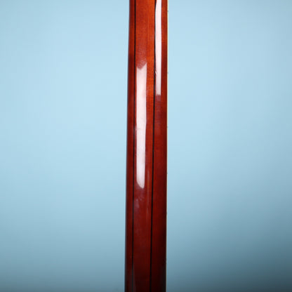 Rear view of guitar neck