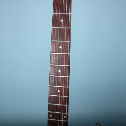 Rosewood fingerboard showing dot inlays and nickel frets