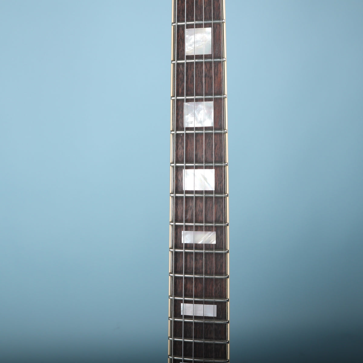 Close-up of the bound fretboard with white block inlays on the Premier Mini DC.