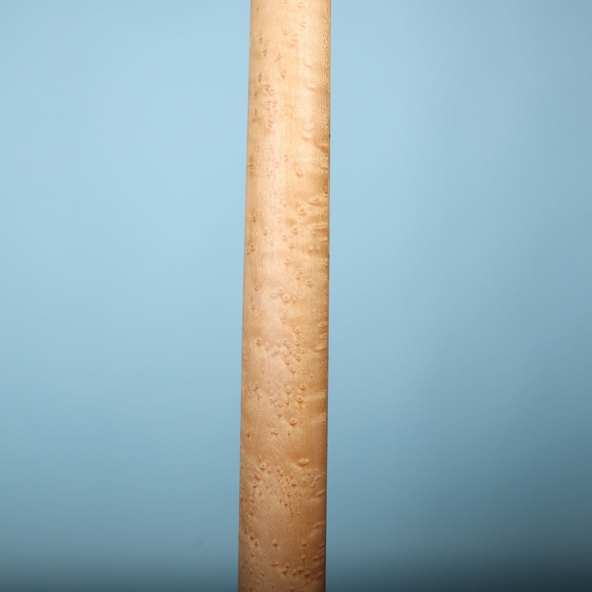 Rear view of birdseye maple guitar neck shaft.